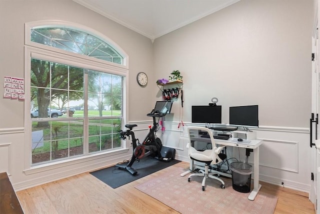 home office featuring crown molding and light hardwood / wood-style flooring