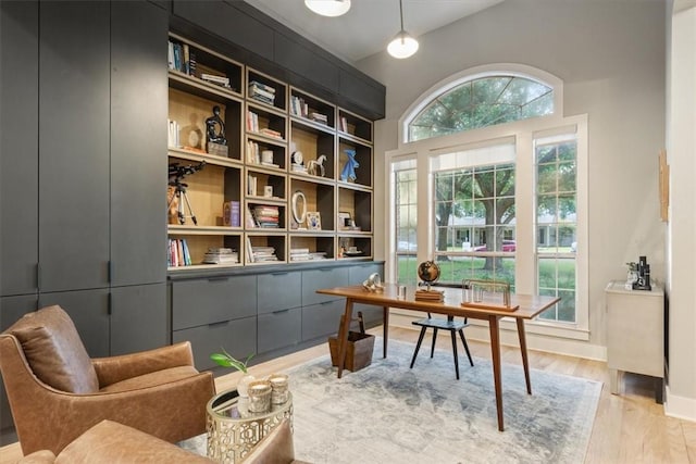 office space with light wood-type flooring