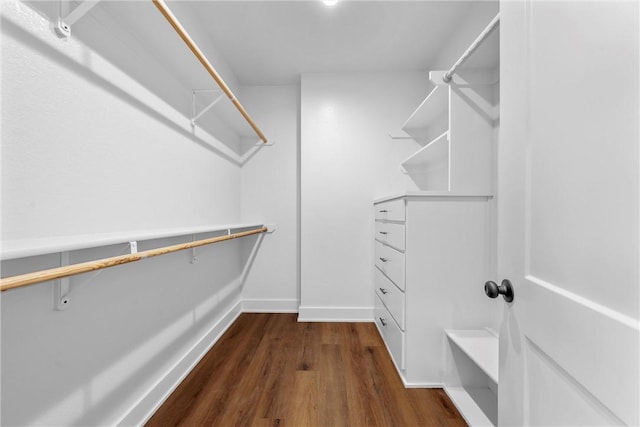 spacious closet with dark wood-style flooring