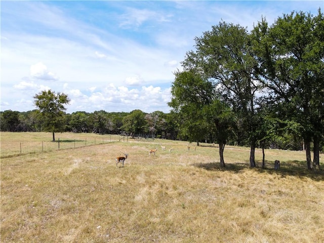 view of local wilderness featuring a rural view