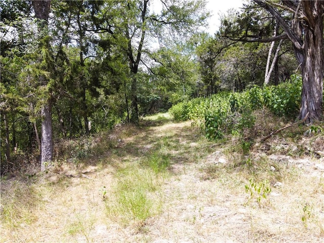 view of local wilderness