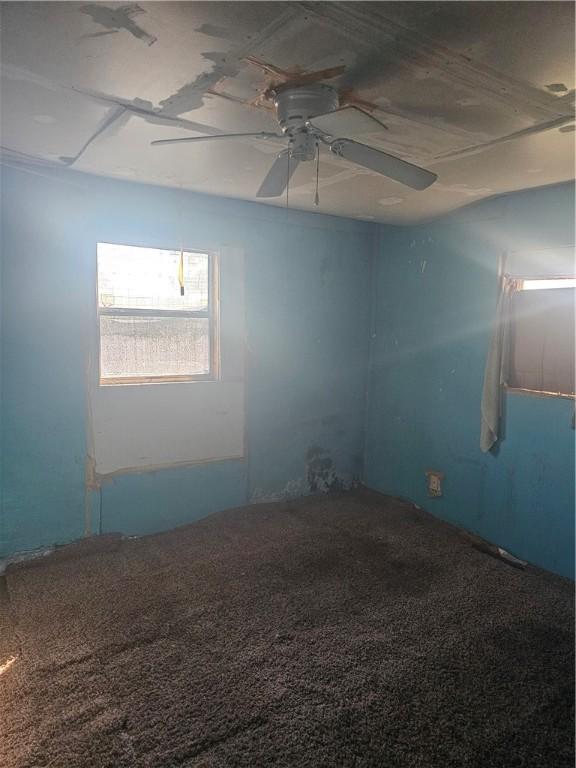 empty room featuring ceiling fan and carpet