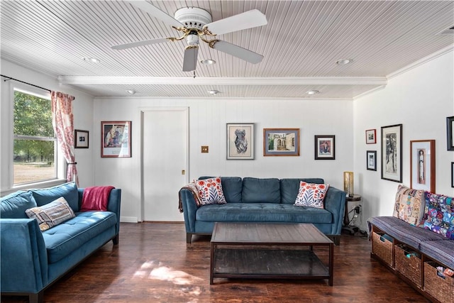 living room with ceiling fan and dark hardwood / wood-style flooring