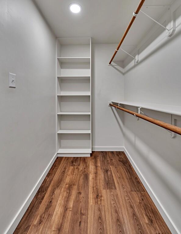 spacious closet featuring dark wood-style flooring