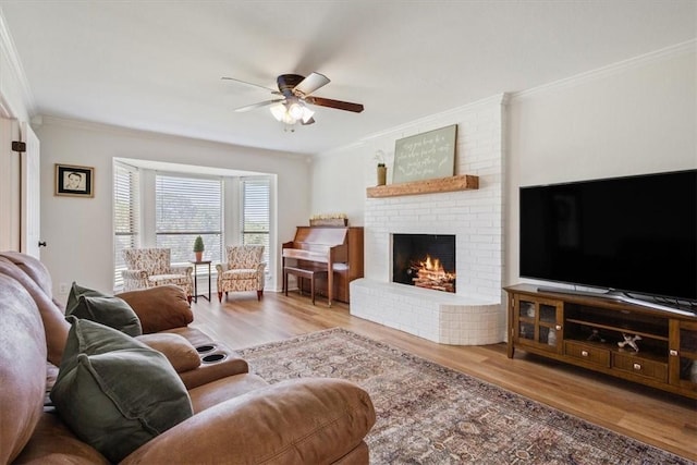 living room featuring crown molding, a fireplace, ceiling fan, and light wood-type flooring