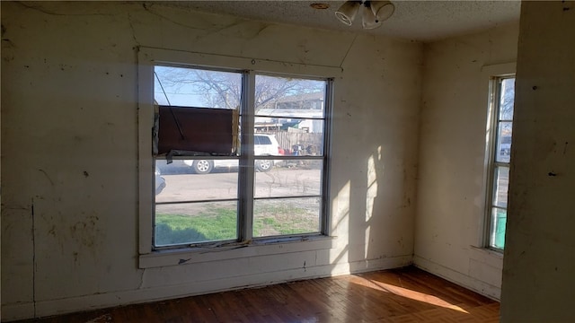 empty room featuring a wealth of natural light, hardwood / wood-style floors, and a textured ceiling