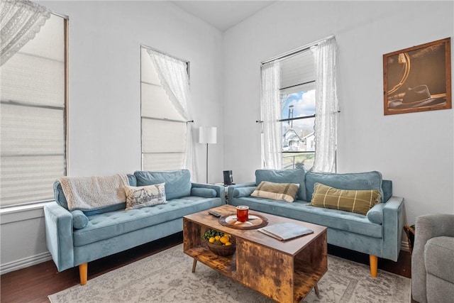 living room featuring wood-type flooring