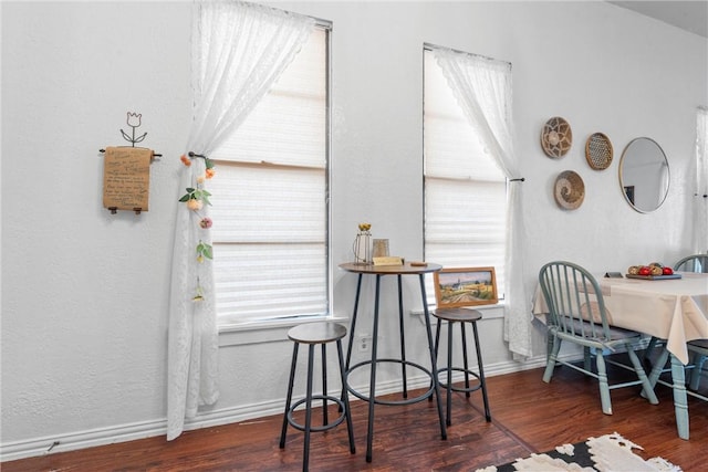 dining room featuring dark wood-type flooring