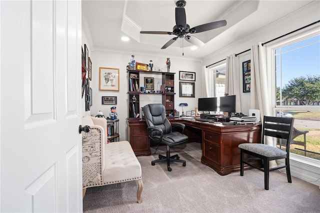 office space with a tray ceiling, ceiling fan, and a healthy amount of sunlight