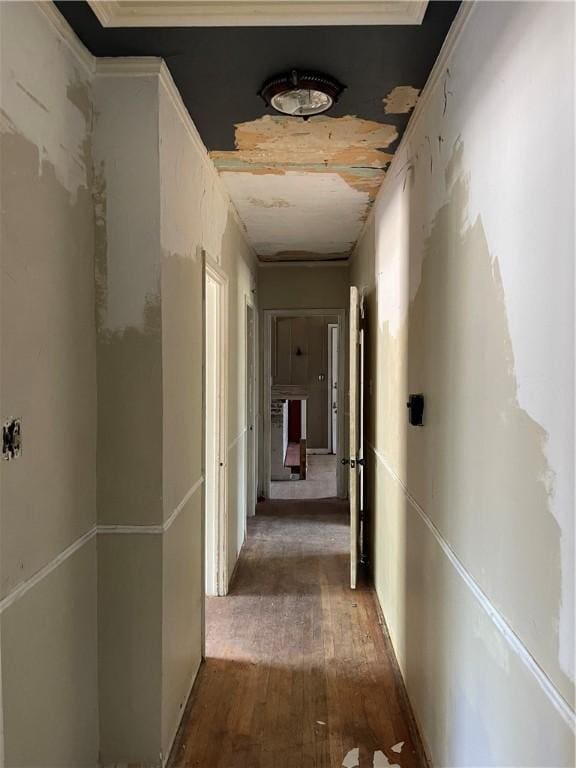 hall featuring hardwood / wood-style floors and ornamental molding