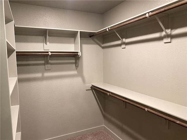 walk in closet featuring carpet floors