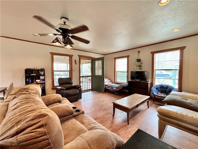 living area featuring a ceiling fan, wood finished floors, crown molding, a textured ceiling, and recessed lighting