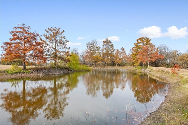 view of water feature