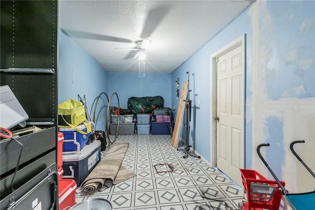 storage room featuring ceiling fan