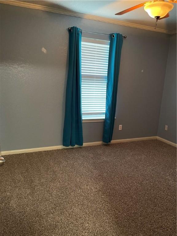 carpeted spare room with ceiling fan and crown molding