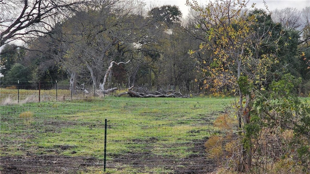 view of yard with a rural view