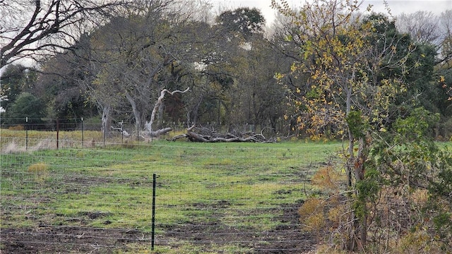 view of yard with a rural view