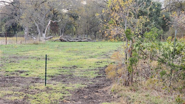 view of yard with a rural view