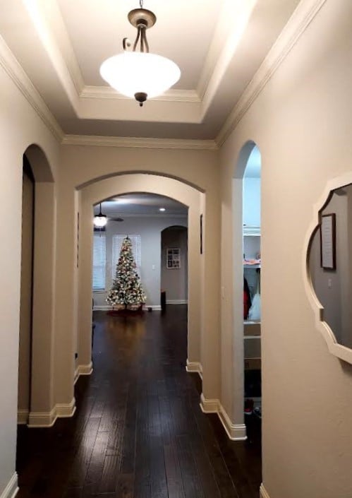 hall featuring a raised ceiling, crown molding, and dark wood-type flooring