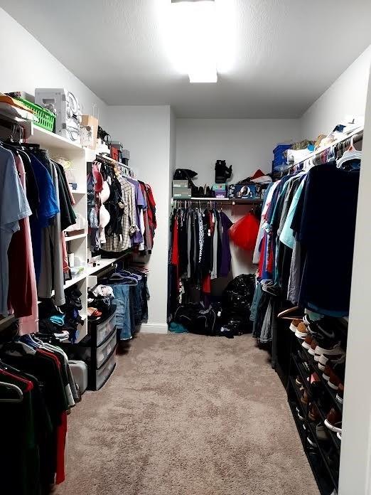 spacious closet featuring carpet