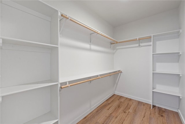 walk in closet featuring light hardwood / wood-style flooring