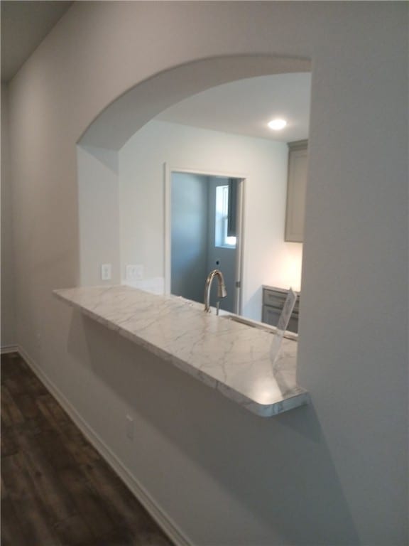 kitchen with dark hardwood / wood-style flooring and sink