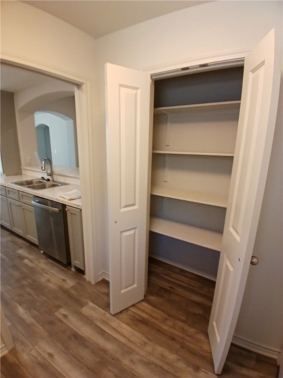 closet featuring sink