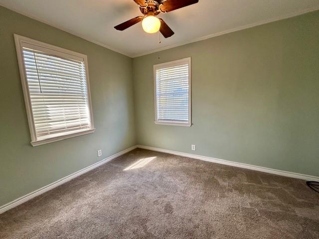 unfurnished room with ornamental molding, carpet, and ceiling fan