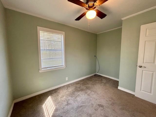 carpeted spare room featuring ceiling fan and ornamental molding