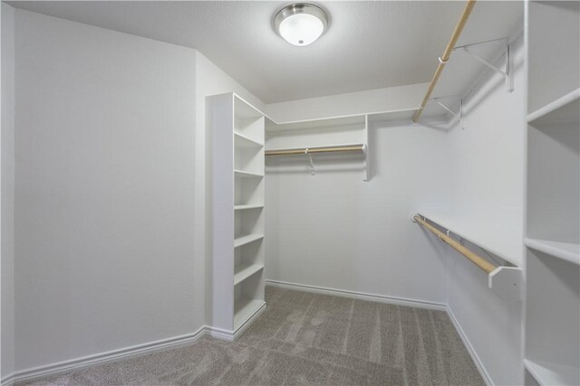 spacious closet with carpet floors