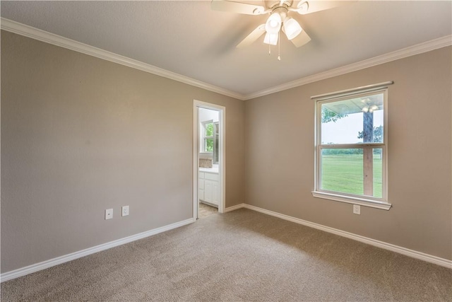 carpeted spare room featuring plenty of natural light, crown molding, and ceiling fan