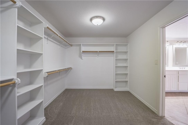 walk in closet with sink and carpet