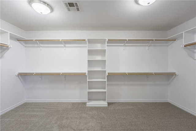 walk in closet featuring carpet floors