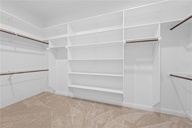 walk in closet with light carpet