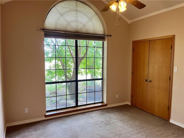 unfurnished bedroom with carpet flooring, a closet, ceiling fan, and ornamental molding