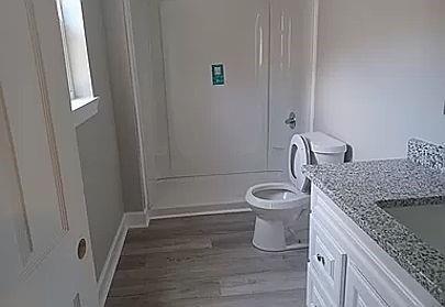 bathroom with hardwood / wood-style floors, vanity, and toilet