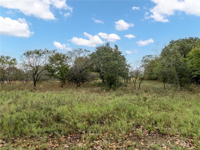 24171 Stonewood Dr, Whitney TX, 76692 land for sale