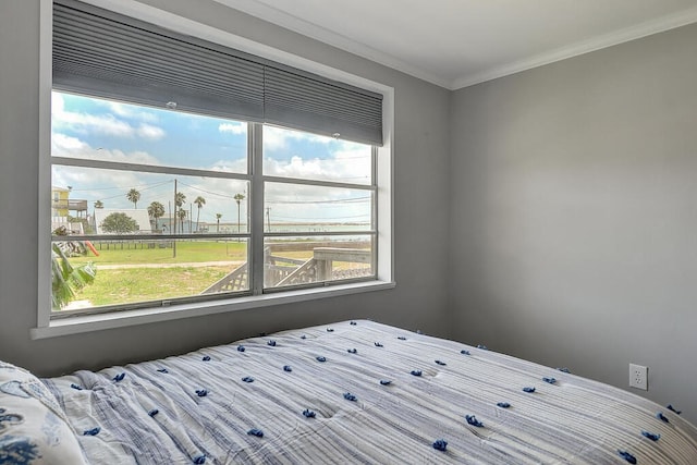 bedroom with ornamental molding