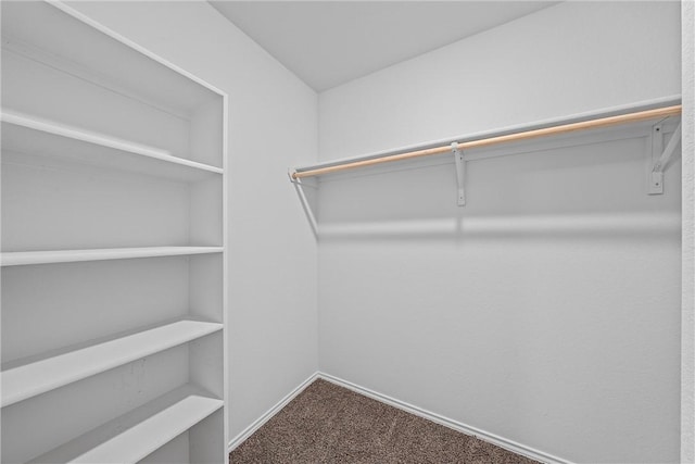 walk in closet featuring carpet