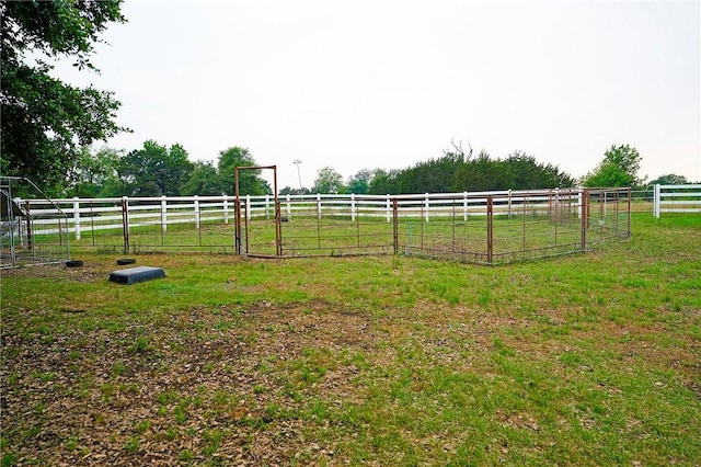 view of yard with a rural view