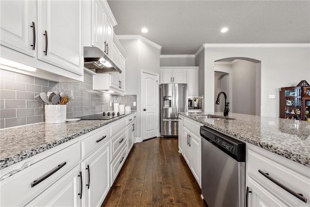 kitchen featuring a sink, light stone countertops, under cabinet range hood, and stainless steel appliances