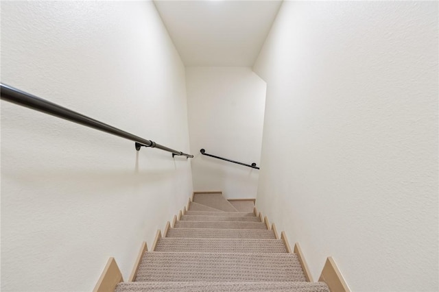 stairs with carpet floors