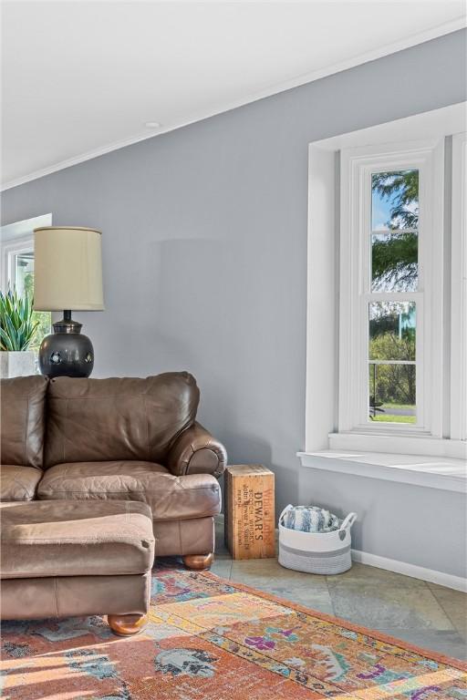 living room with crown molding