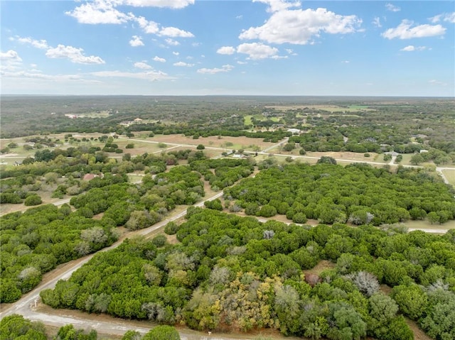 Listing photo 3 for 18088 Forrest Dr, Whitney TX 76692