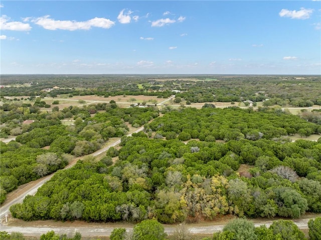 18088 Forrest Dr, Whitney TX, 76692 land for sale