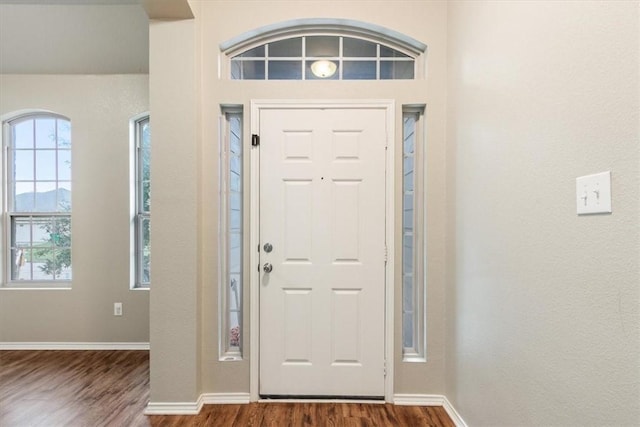 foyer entrance featuring dark wood-type flooring