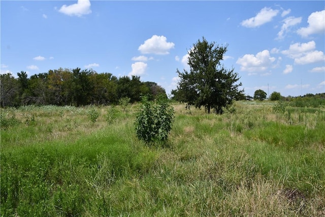 Listing photo 3 for Lot8 Hcr 3363, Mount Calm TX 76673