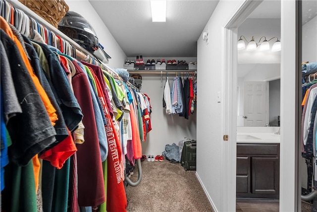 spacious closet with carpet