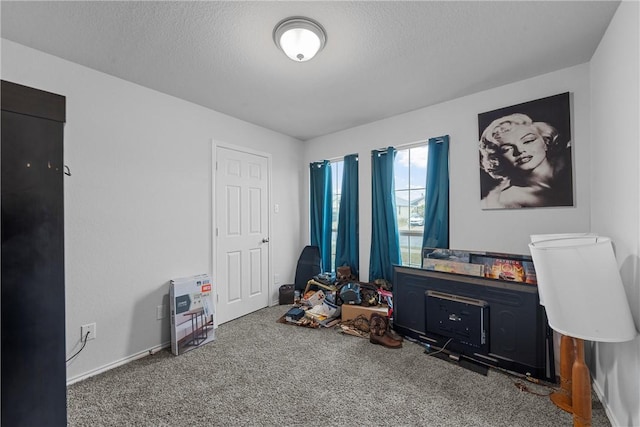 interior space with carpet floors and a textured ceiling