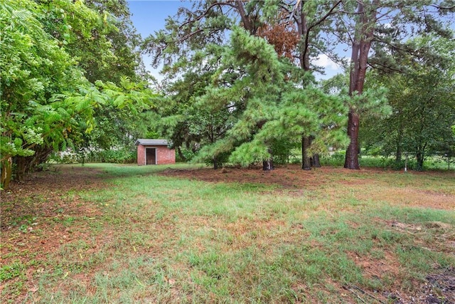 view of yard with a storage unit